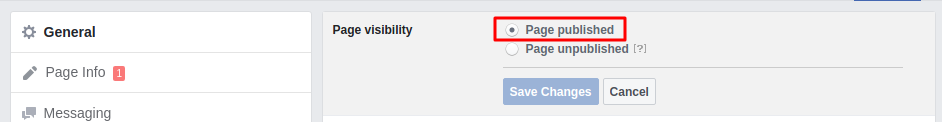 Page Visibility Settings